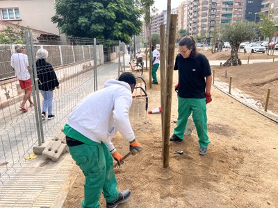 Els joves també han plantat un arbre.