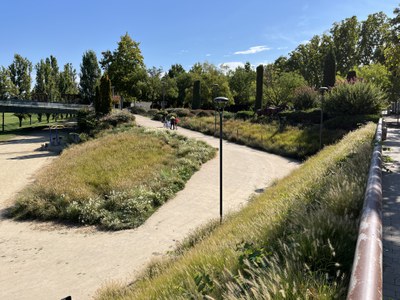 Un dels punts on s'ha d'actuar és en aquest accés al parc.