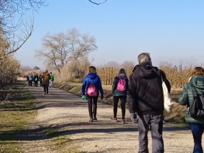 La caminada proposava dos recorreguts de diferent longitud, segons el tipus de públic participant.