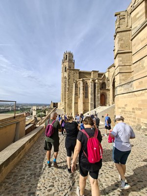 Una caminada a la Seu Vella va donar el tret de sortida al darrer programa trimestal..