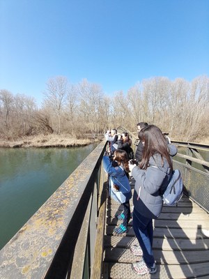 El Parc de la Mitjana va acollir el cap de setmana diverses Ecoactivitats..