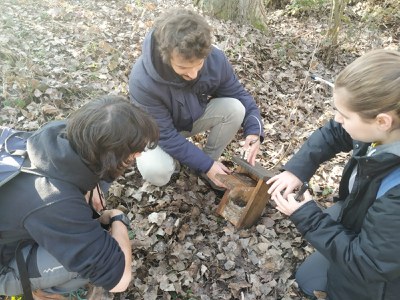 El Parc de la Mitjana va acollir el cap de setmana una ecoactivitat sobre el seguiment de caixes niu..