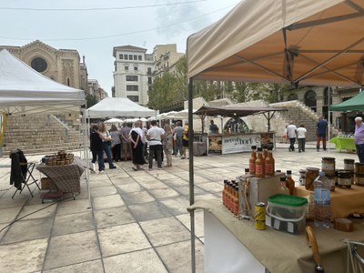 Tots els mercats es realitzen amb l’impuls de la Regidoria de Promoció de la Ciutat de l’Ajuntament de Lleida i esdevenen factors de dinamització a l….