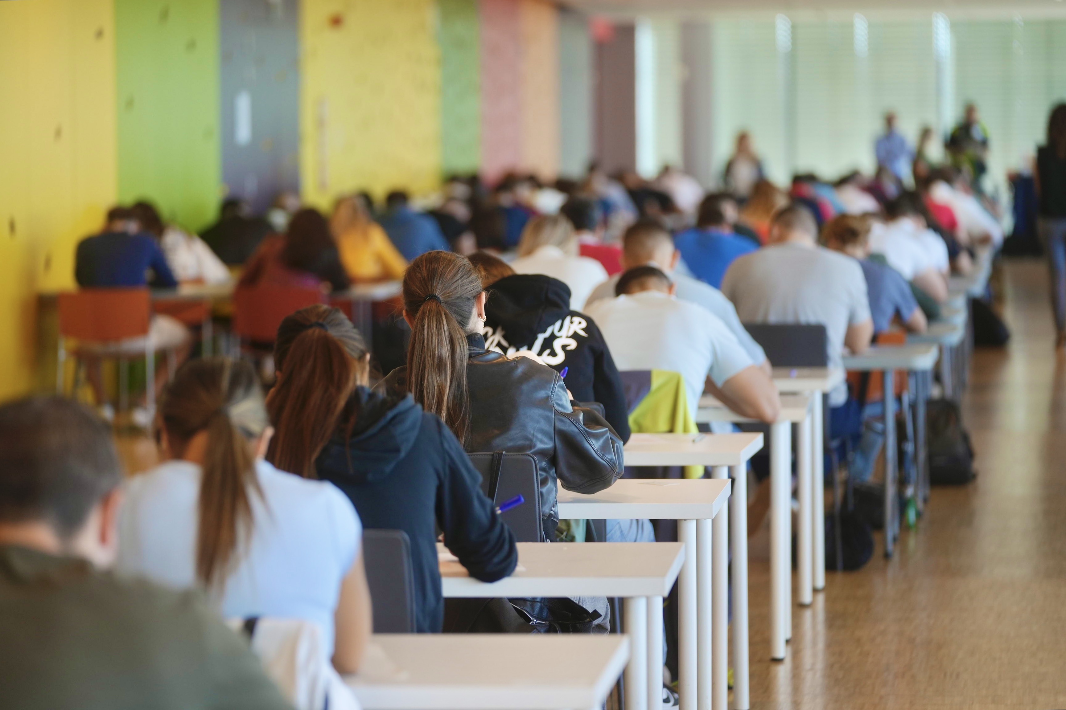 Imatge de les proves