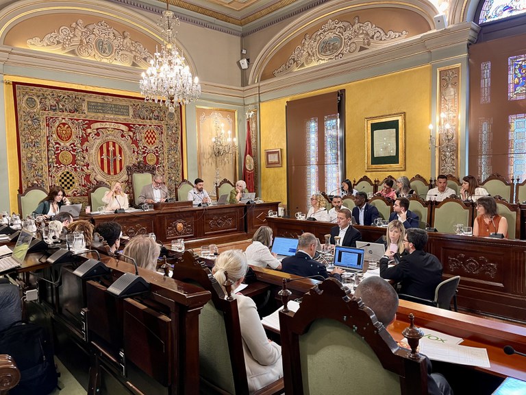 Lleida ha celebrat la sessió ordinària de ple corresponent al mes de juny.