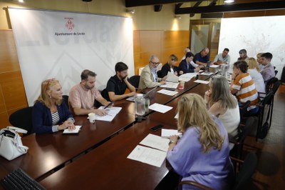 Imatge de la Comissió Informativa d'Acció i Innovació Social..