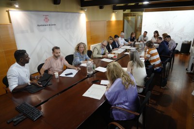 Imatge de la Comissió Informativa de Capital Cultural i de les Oportunitats..