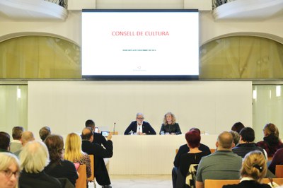 Imatge d'arxiu de la reunió del Consell de Cultura que es va celebrar al novembre.