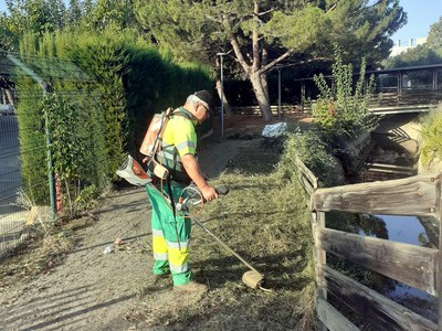 Tasques de desbrossament a l'entorn del canal de Pinyana.