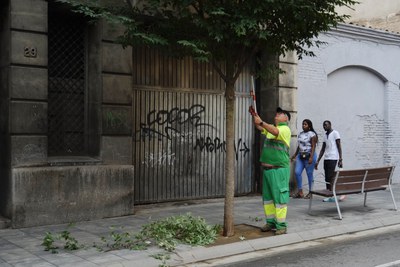 Un operari fent tasques d'esporga de l'arbrat a Anselm Clavé.