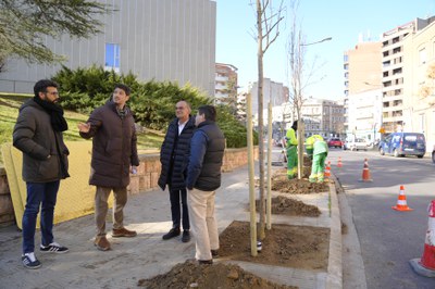 L'Ajuntament de Lleida plantarà més de mil arbres aquesta campanya.