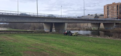 Gespa del marge esquerre de la canalització del riu Segre on s'està duent a terme l'escarificació.