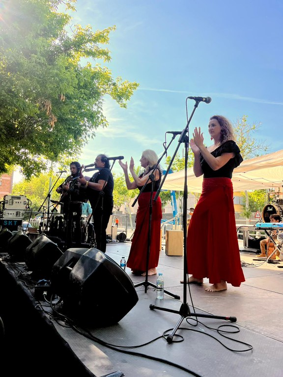 Concert de La Violeta, als Jardins 1r de Maig