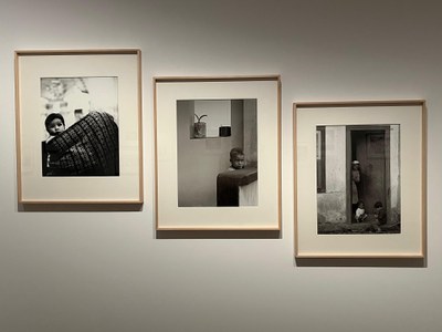 Algunes de les fotografies de l'exposició de Palmira Puig.