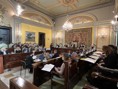 Vista del ple celebrat avui.