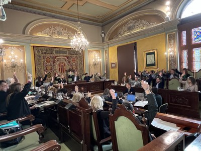 Una de les votacions al ple.