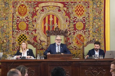 L'alcalde Fèlix Larrosa ha presidit la sessió.