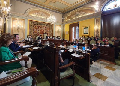 El ple de la Paeria ha aprovat per unanimitat impulsar una residència per a la gent gran a Pardinyes..