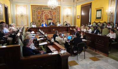 Ple de Política Municipal sobre l'estat de la cituat i l'actuació política del Govern, aquest dimarts, al Saló de Sessions de la Paeria..