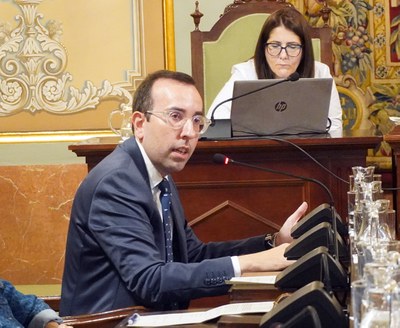 Del grup del Partit Popular de Lleida, el cap de l'oposició, Xavier Palau, ha estat l'encarregat d'intervenir en el ple d'aquest dimarts..