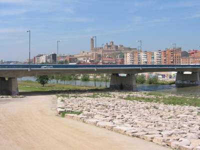 Pont de Pardinyes de Lleida vist des de la Canalització del Segre.