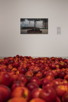 Performance de Regina José Galindo, Lleida, 2024. Fruita, explotació laboral, migració….