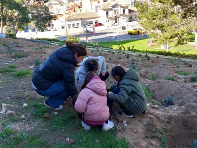 Un moment de la plantació, amb infants de l'escola Seu Vella.