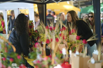 Parades de roses per Sant Jordi a Lleida..