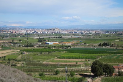 Paisatge de l'Horta de Lleida