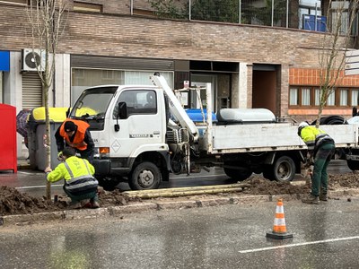 En aquest espai es planten 23 arbres, per omplir els buits existents.