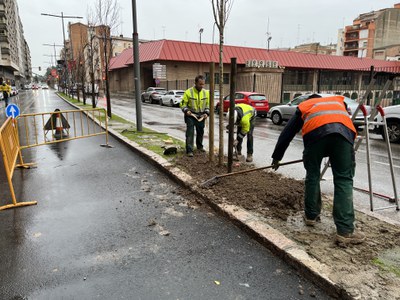 Tasques de plantació a l'avinguda de Madrid.