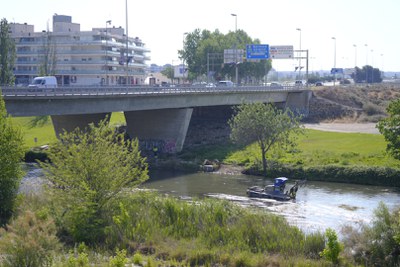 Retirar aquestes plantes ajuda a millorar l'estat del riu en el seu tram urbà.