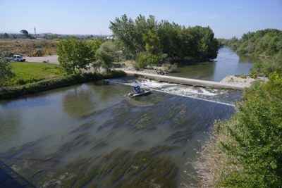 L'actuació s'ha iniciat aquest matí al tram final de la canalització.