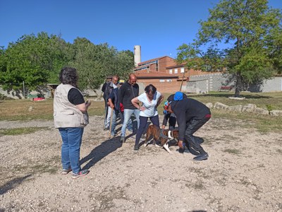 Jugar forma part de l'experiència.