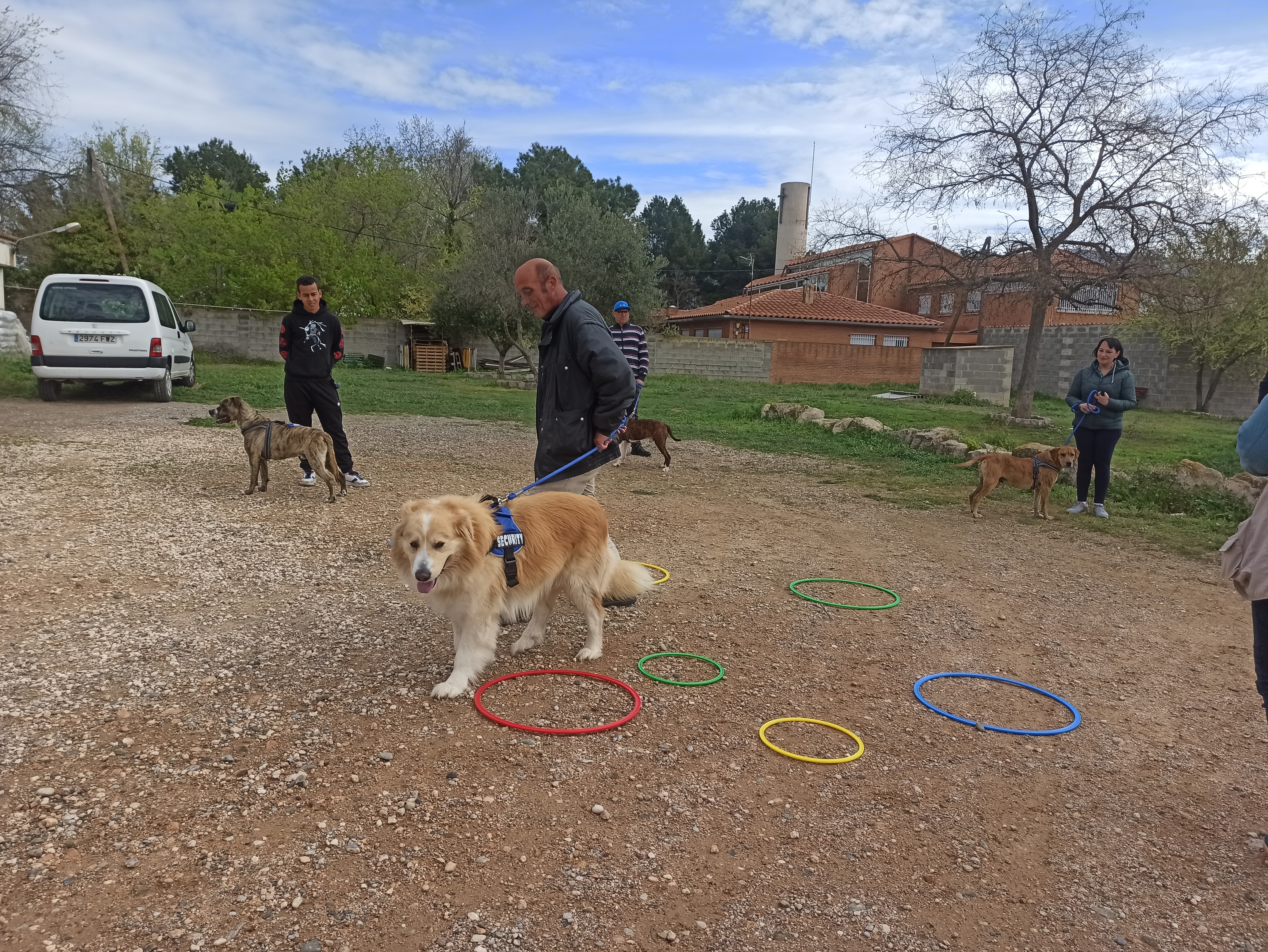 Els usuaris d'inclusió ajuden a educar els gossos que aviat seran adoptats