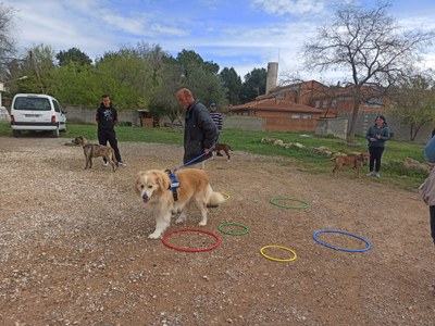 Els usuaris d'inclusió ajuden a educar els gossos que aviat seran adoptats.
