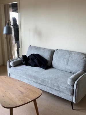 Quatre dels cinc estudis de la Casa dels Aristes ja acullen estudiants..