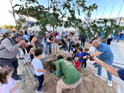 La Paeria ha plantat a Lleida més de 2000 arbres nous els darrers dos anys i la previsió és plantar-ne uns 850 aquesta campanya.