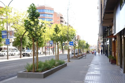 Imatge d'un dels trams de l'obra..