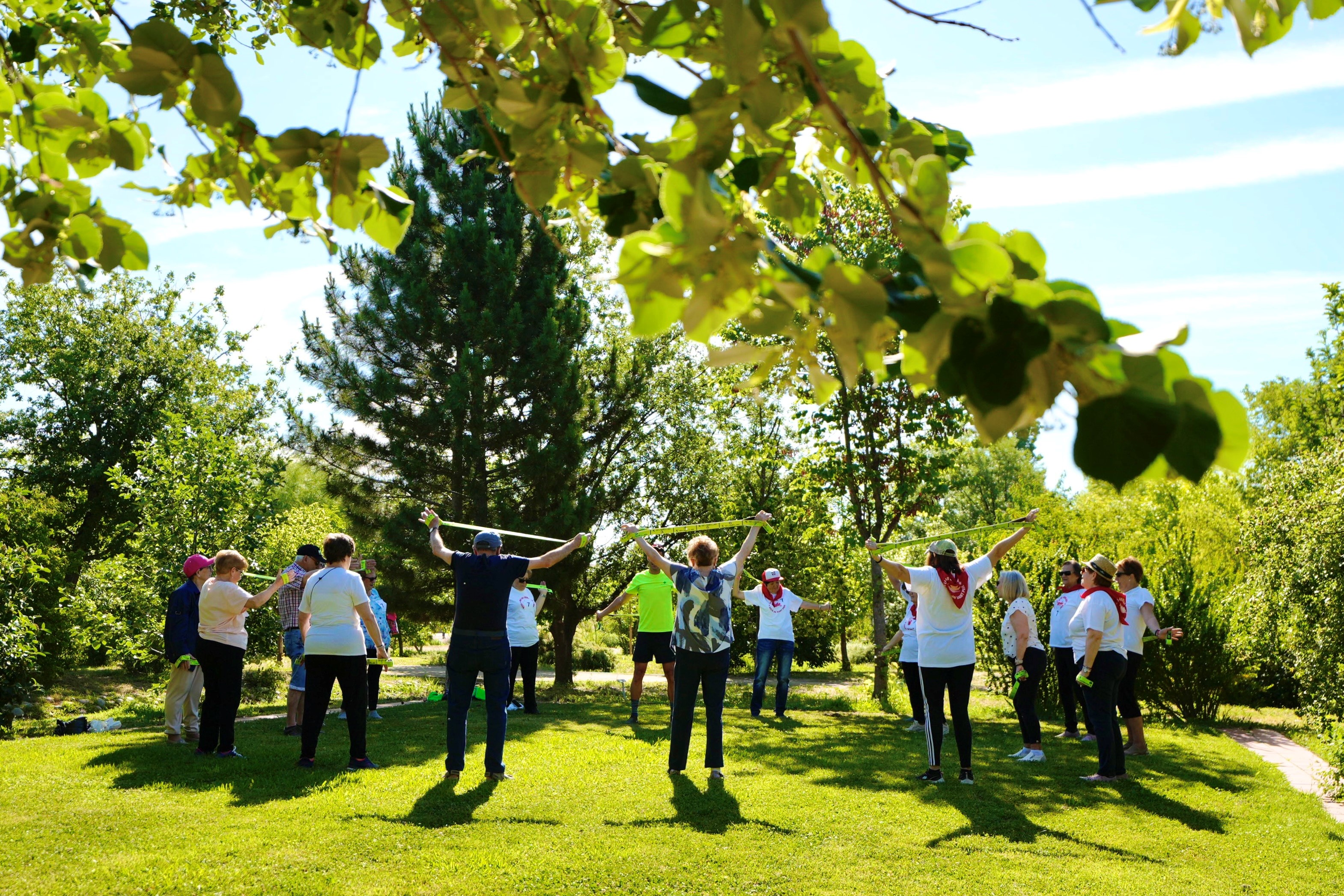 Gimcana a l'Arborètum de Lleida per acabar el curs dels grups de gimnàstica i taitxí dels centres sènior.