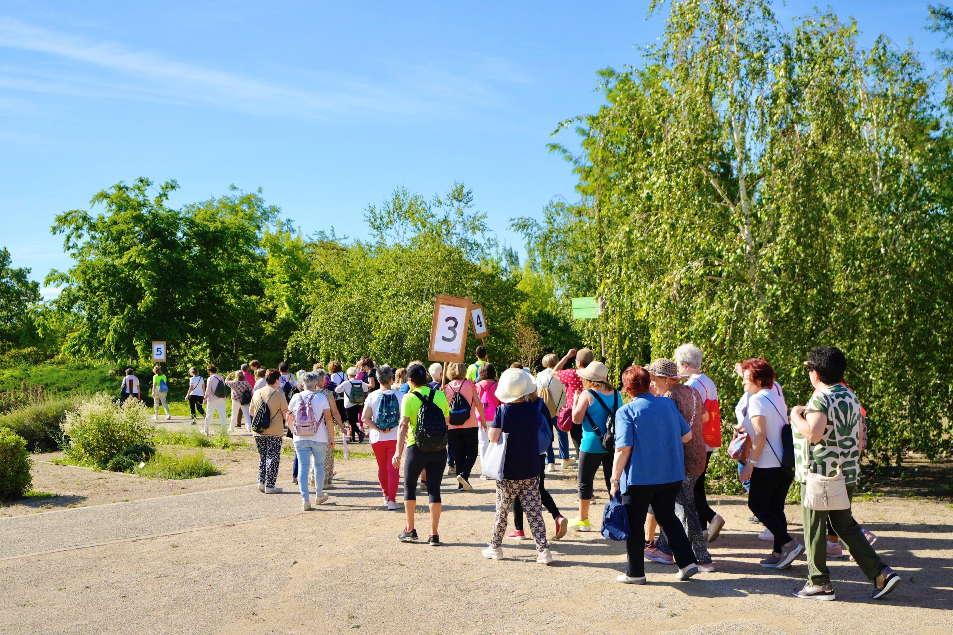 Gimcana a l'Arborètum amb uns 200 participants sènior dels grups de gimnàstica i taitxí.