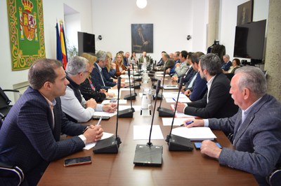 La reunió de la comissió de la Femp.
