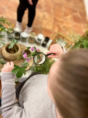 L’Arborètum atansa el coneixement del medi natural urbà a tota la ciutadania.