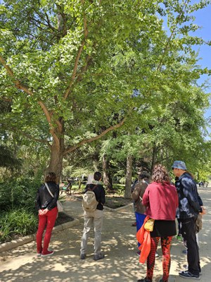 Els assistents han pogut conèixer les diferents espècies d'arbres dels Camps Elisis