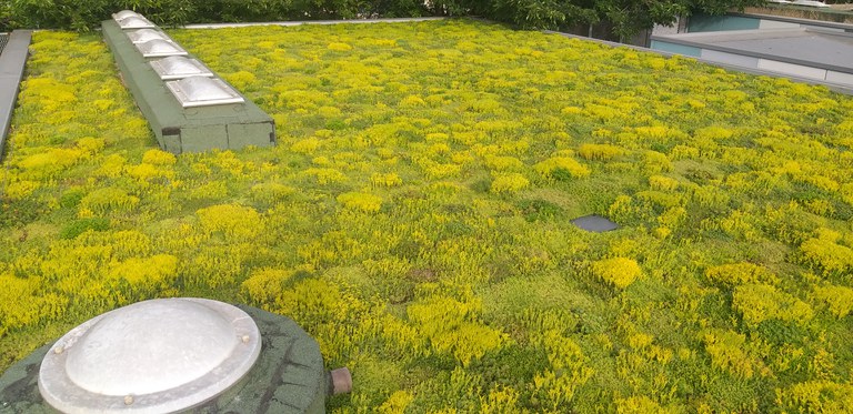 L’actuació a l'Escola Bressol Municipal Ronda-La Mercè s’ha realitzat en el marc del projecte Big4Life, impulsat per la Universitat de Lleida i amb la col·laboració de la Paeria