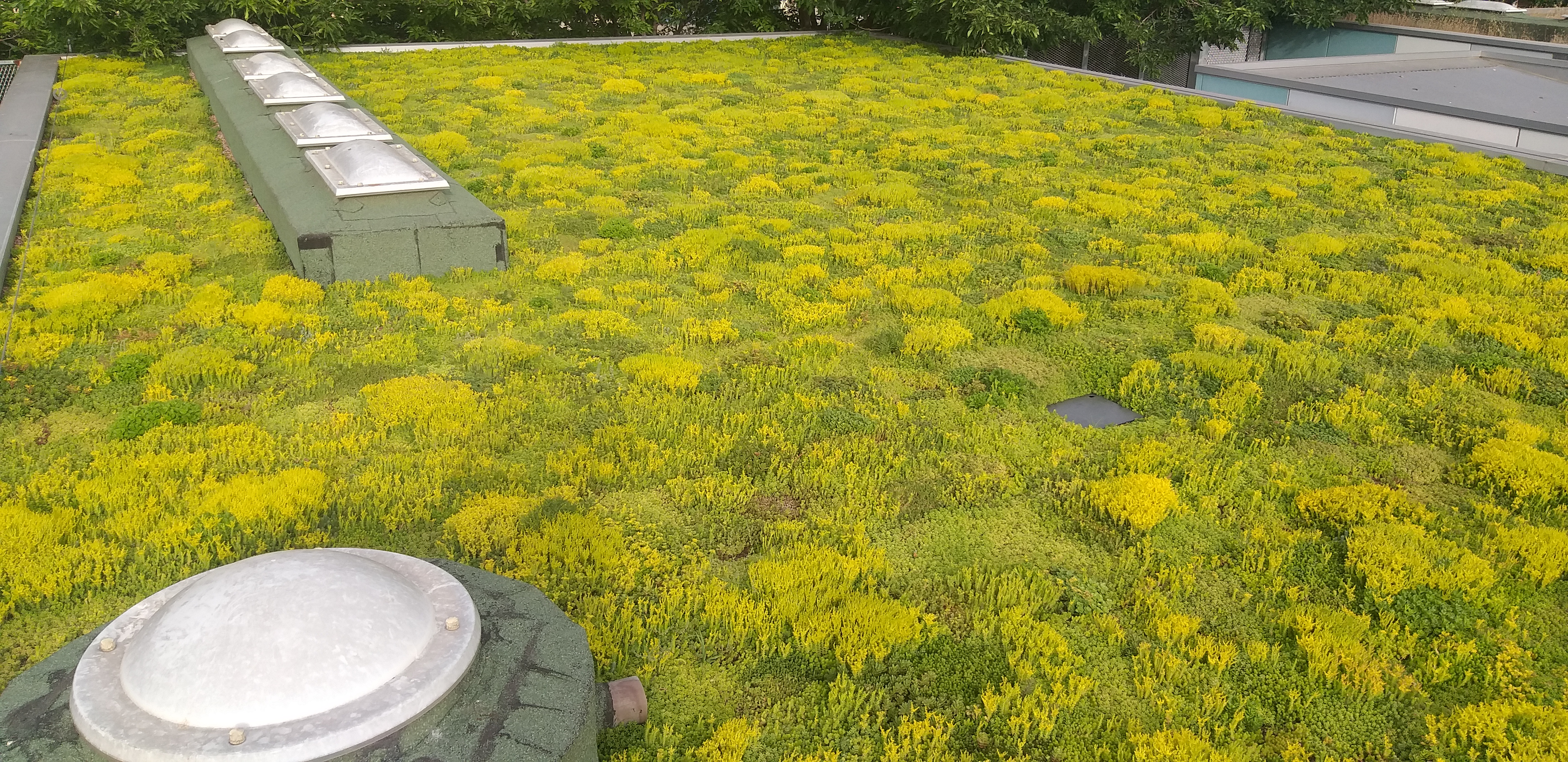 L’actuació a l'Escola Bressol Municipal Ronda-La Mercè s’ha realitzat en el marc del projecte Big4Life, impulsat per la Universitat de Lleida i amb la col·laboració de la Paeria