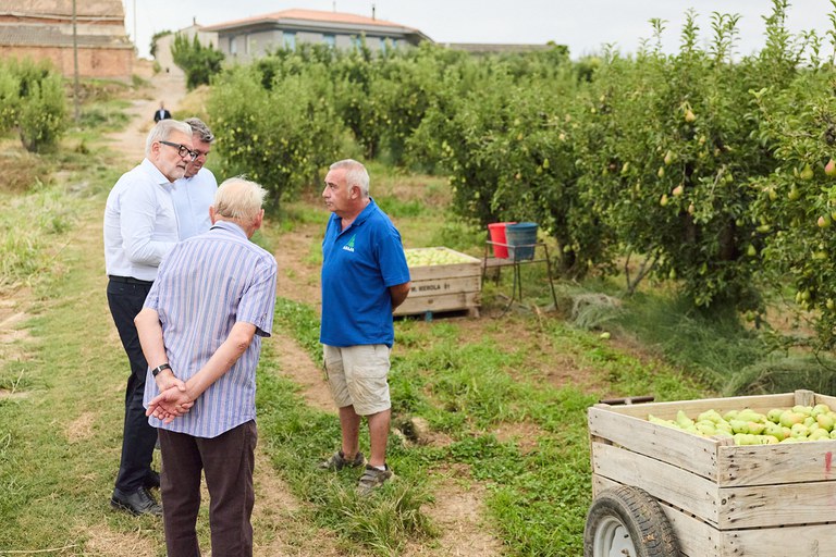 Les perspectives per la campanya són bones