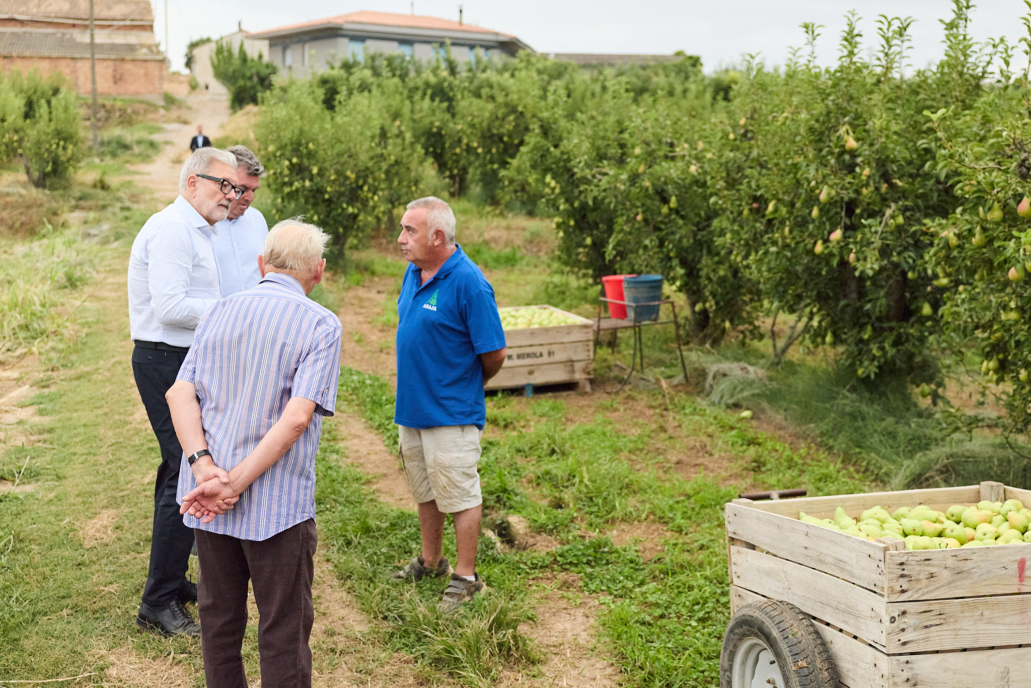 Les perspectives per la campanya són bones