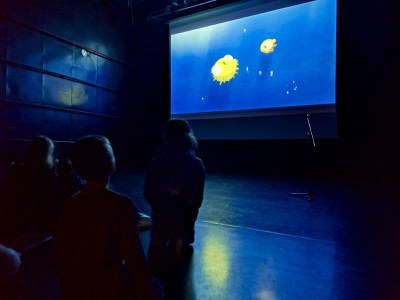 Curt de la primera sessió MINIMONS del Cinemón Xic.