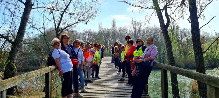 Aquesta iniciativa ha estat organitzada per Dona Balàfia Associació, la Vocalia de la Dona de l’AV de Balàfia i Dones de l’Horta